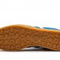Gazelle Indoor Blue Bird Gum