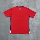 Men's Hippopotamus home football jersey 24-25