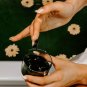 Organic Spirulina Beauty Powder