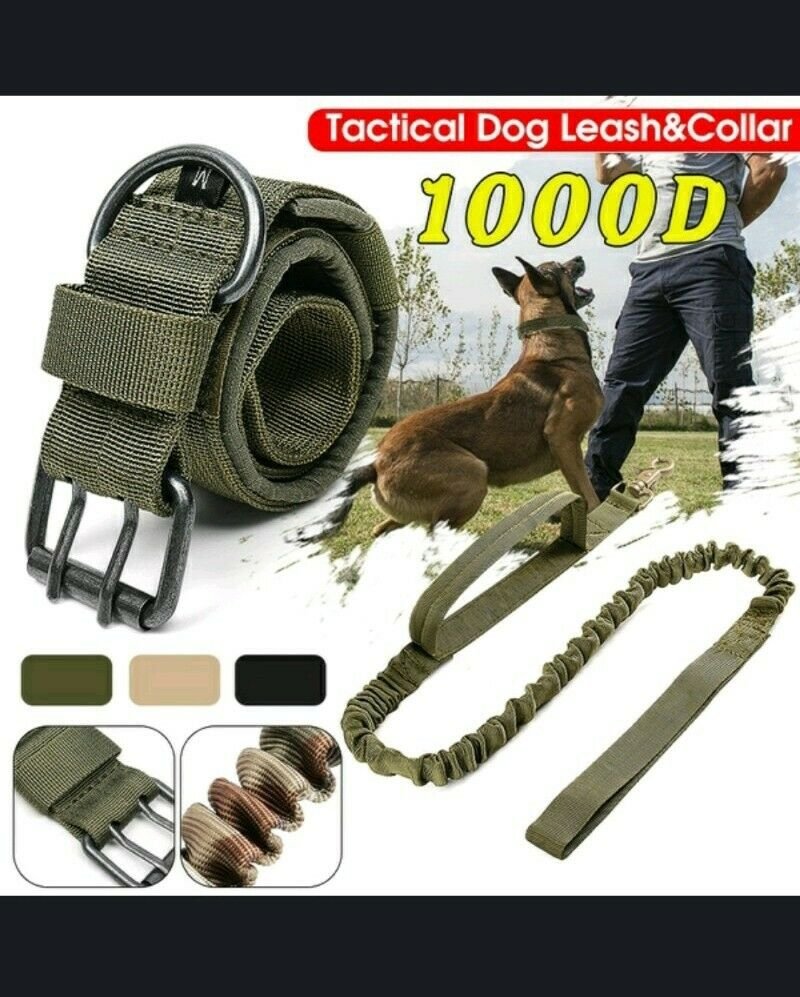 Medium Camo-Green 1000D K-9 Military Tactical Dog Collar 14"-17"& Leash 36"-53"