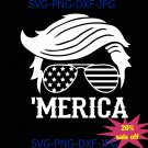Trump Merica,Trump 2020, Trump Hair Style Sunglasses, American Flag Design