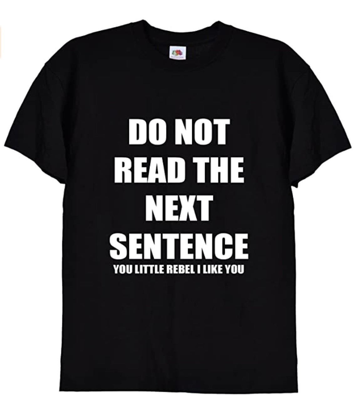 Do Not Read The Next Sentence Funny Slogan Rebel T Shirt Gildan G500 Tee