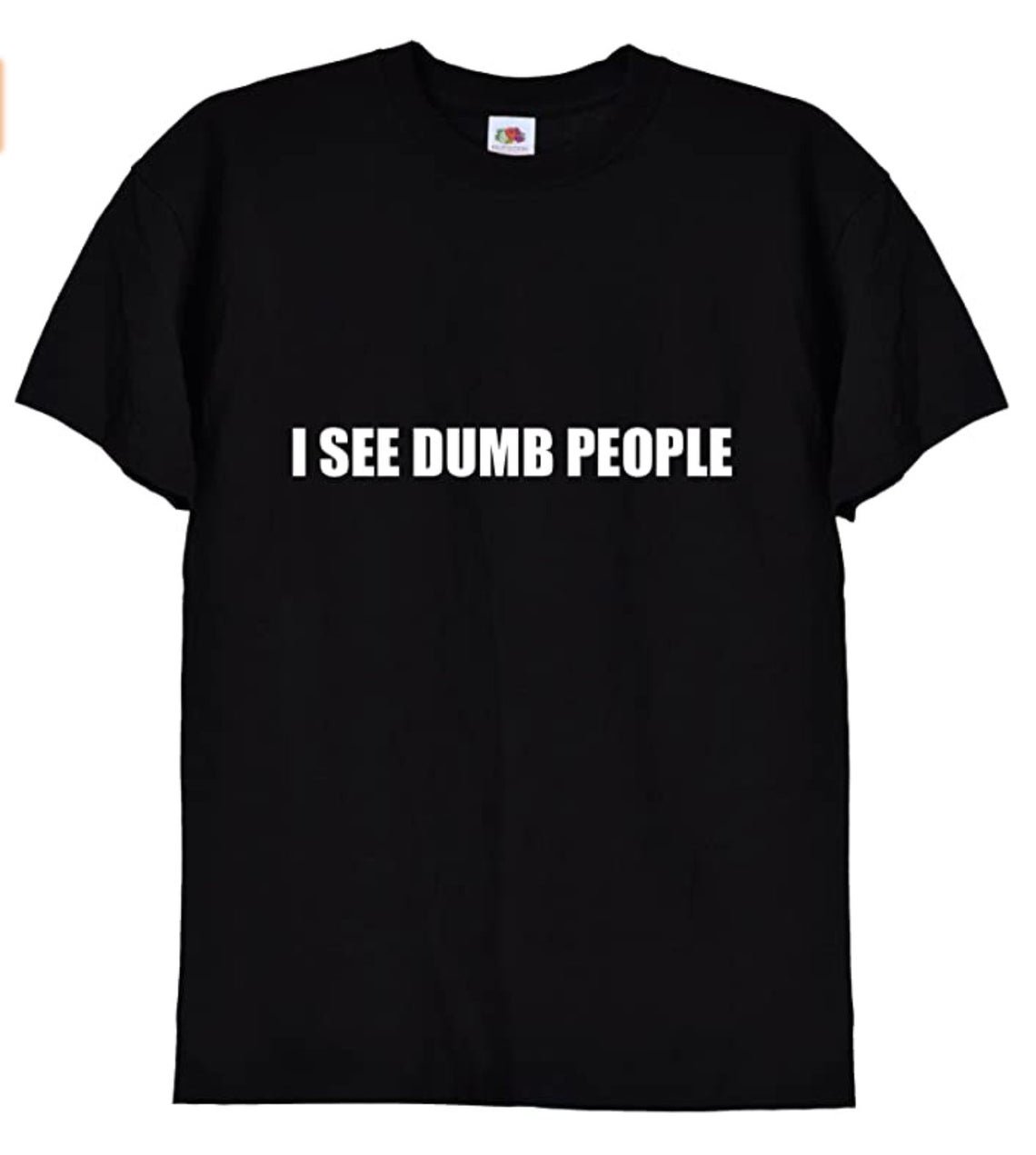 I See Dumb People, Funny IT Crowd Tshirt Gildan G500 Tee