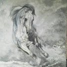 Arabian horse