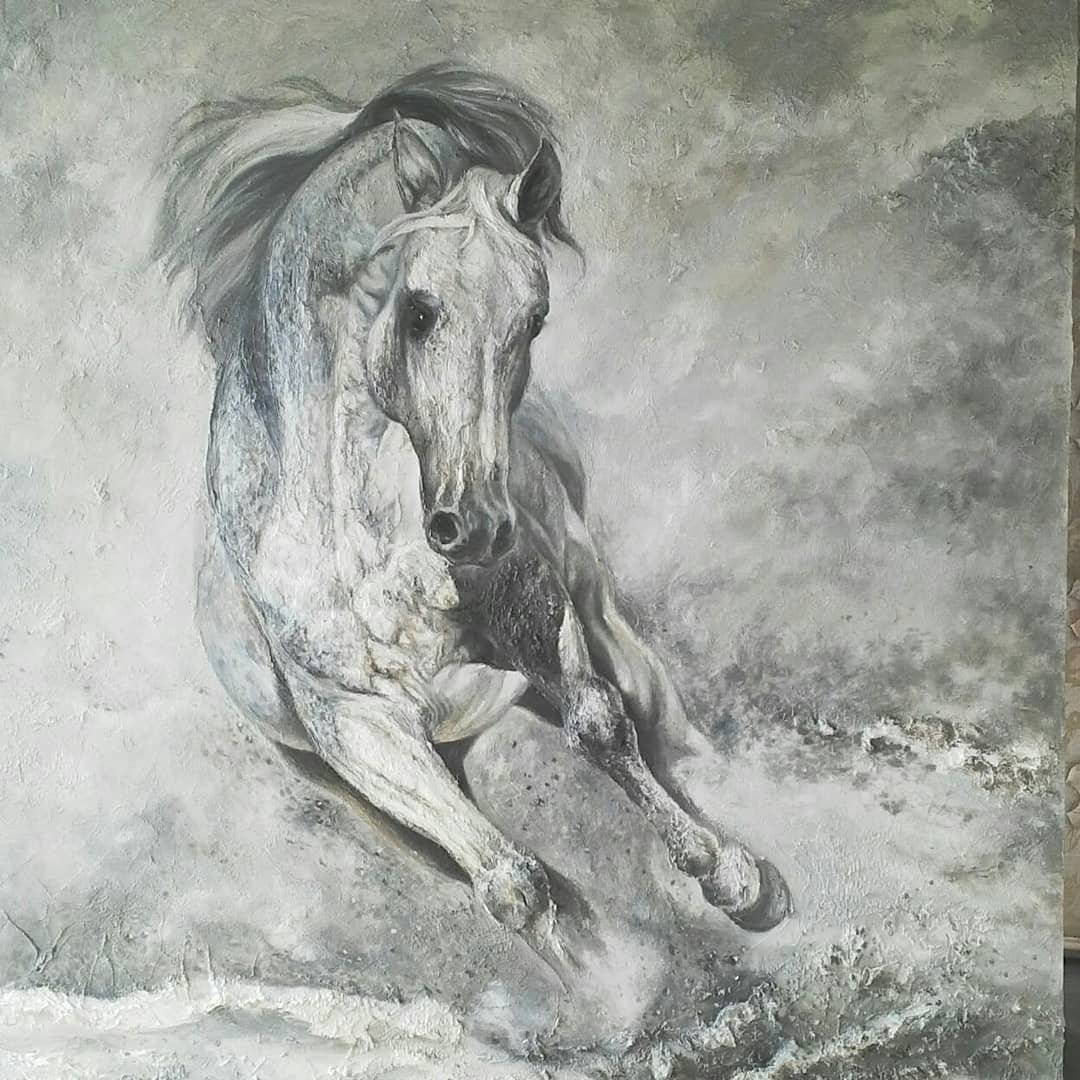 Arabian horse