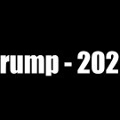2x Donald Trump "Trump-2020"  Vinyl window Decal Sticker Wall Bumper Window Fun