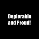 Donald Trump "Deplorable" Vinyl window Decal Sticker Wall Bumper Window Funny