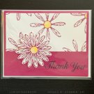 Thanks - Daisy 1