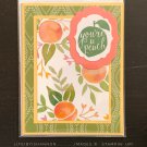 Thanks - Peach 1