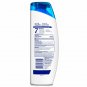 Head & Shoulders Dry Scalp Care with Almond Oil 2-in-1 shampoo 13.5 Fl Oz