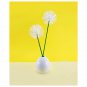 Q-tips Cotton Swabs 170 ct