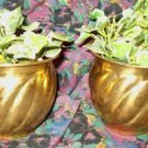 Set of Two Life Like Ivy Plants In Brass Copper Tone Planters