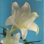 Ideals Easter 1969 Magazine Photography, Poems, Stories