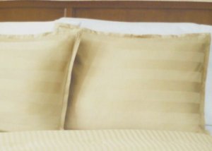 Pair Damask Stripe King Size Shams New Light Olive Green 300 tc