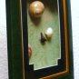 Sea Shells in Picture Frame ~ Brand New