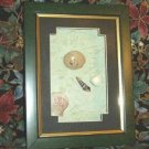 Sea Shells in Picture Frame ~ Brand New