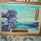 Vintage Thermometer with Picturesque View of the Adirondacks w Local Advertisement