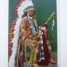 1940s Linen Postcard - Native American Chief Full Regalia ~ Pahsetopah ~ Vintage
