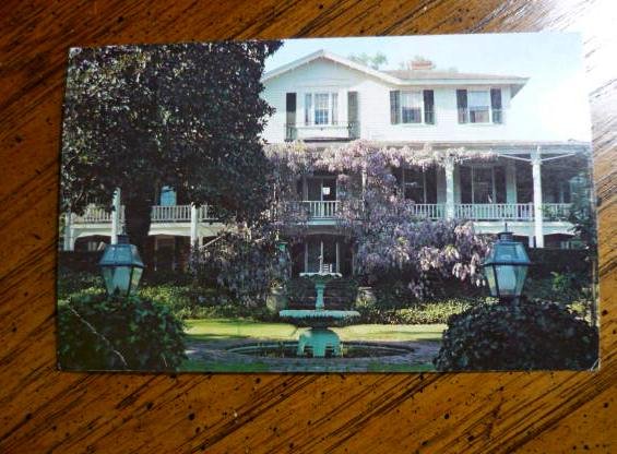 Vintage Post card Camden SC Gen Chestnut Full Color