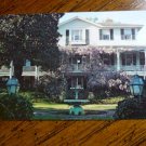 Vintage Post card Camden SC Gen Chestnut Full Color Vintage Post card Camden SC Gen Chestnut Full Color