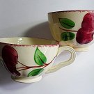 Two Vintage Blue Ridge Tea Cups Crab Apple model Lot Two Vintage Blue Ridge Tea Cups Crab Apple model Lot