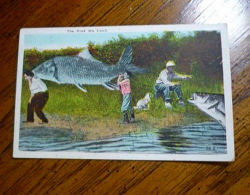 Fishermen and Giant Freak Fish Fishing Vntg Postcard Clean Unstamped Rare