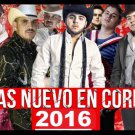 Mexican Narco Corridos Pesados 2 DVDs/52 Music Videos ft Calibre 50 Voz de Mando Mexican Narco Corridos Pesados 2 DVDs/52 Music Videos ft Calibre 50 Voz de Mando