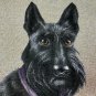 Scottish terrier Pillow Case - Cover Tapestry Russia high quality