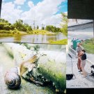 Children's creativity, Russian summer, three large photos, North Russia, Vologda