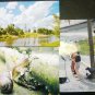 Children's creativity, Russian summer, three large photos, North Russia, Vologda