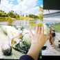 Children's creativity, Russian summer, three large photos, North Russia, Vologda