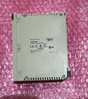 Schneider PLC Analog Output Module TSXASY800 Used Tested 1Pcs