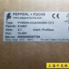 P+F PVM58N-032AGR0BN-1213 New In Box