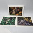 Wolf Wolves Blank Greeting Card Defenders Wildlife Lot 3 Brandenburg 5x7 in 1999