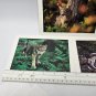 Wolf Wolves Blank Greeting Card Defenders Wildlife Lot 3 Brandenburg 5x7 in 1999