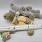Turtle Mouse Bean Plush Great American Fun Bean sprouts Squeaky Tommy 8"
