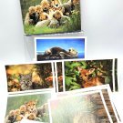 Baby Animals Lot 14 Nature Company Blank Cards Bobcat Fawn Cheetah Sea Otter