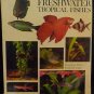 The Complete Aquarist's Guide to Freshwater Tropical Fishes - John Gilbert 1972