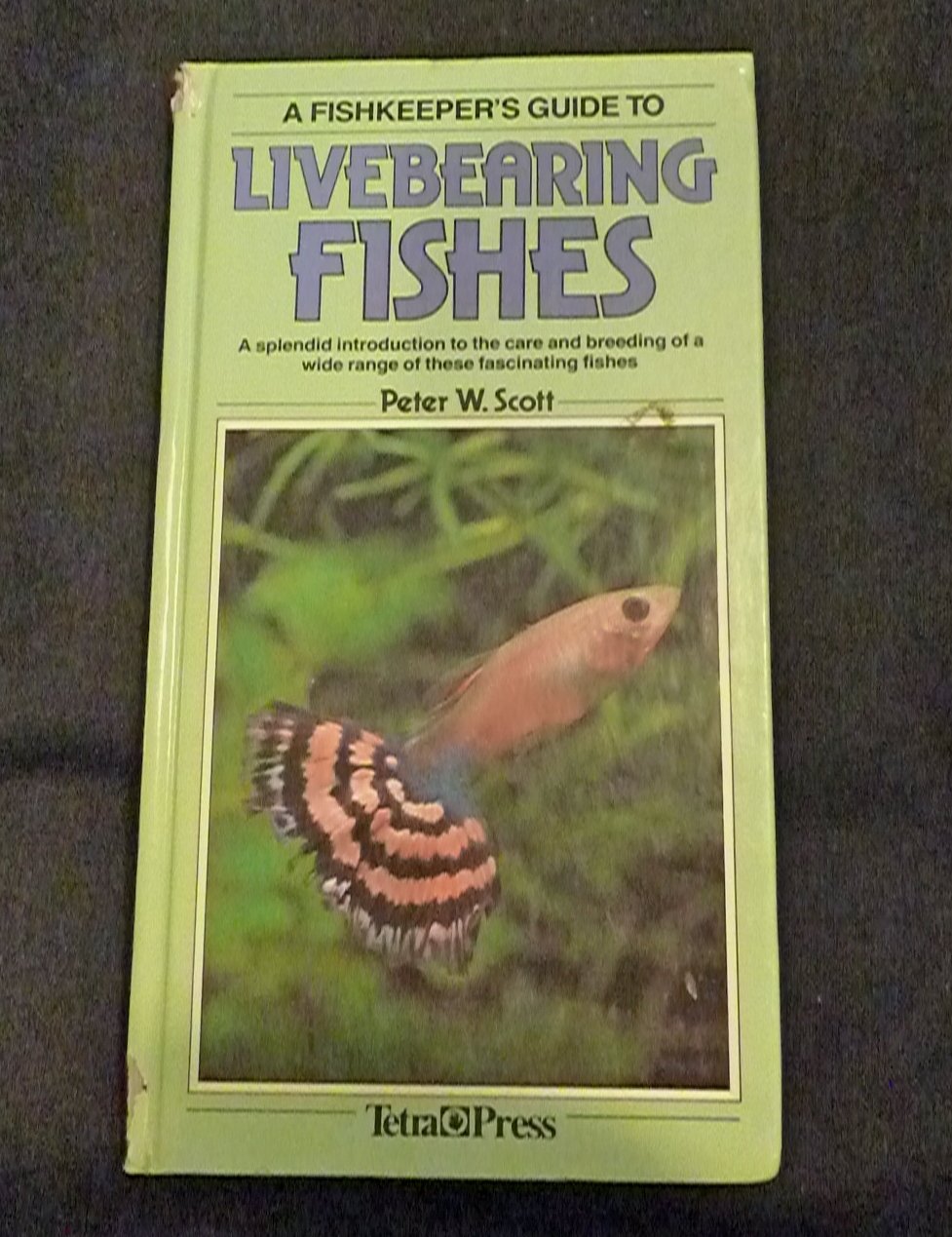 A Fishkeeper's Guide to Livebearing Fishes - Peter w. Scott