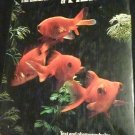 The Wondrous World of Fishes - Jan Burton