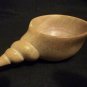 Kenyan (Tisi) Shell