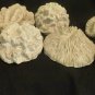 Immitation Coral (7 pieces) Well Detailed