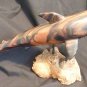 Great White Shark 15" Phillipino Acacia Wood