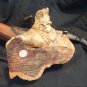 Great White Shark 15" Phillipino Acacia Wood
