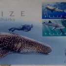 Belizean First Day Cover Whale Sharks 2004