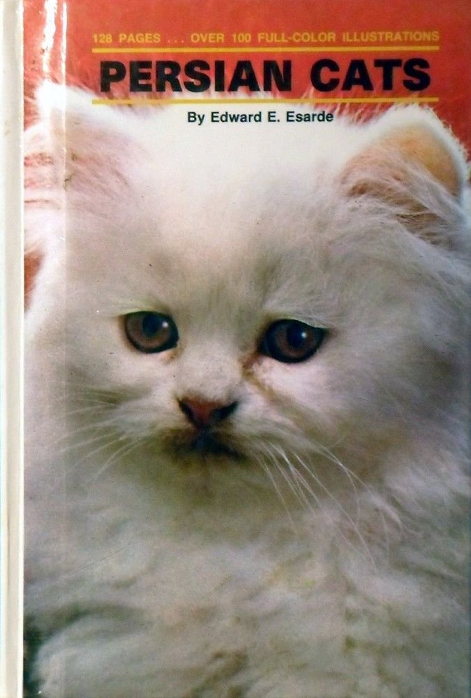 PERSIAN CATS By Edward E. Esarde