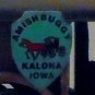 Miniature metal Amish Horse & Buggy (crest: Kalona Iowa)
