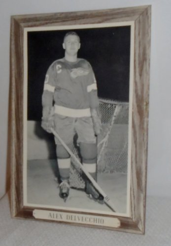 Bee Hive Corn Syrup Hockey Player Alex Delvechio