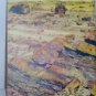 A Story of the Petrified Forest Agatized Rainbows - 1951