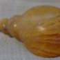 Kenyan (Tisi) Shell